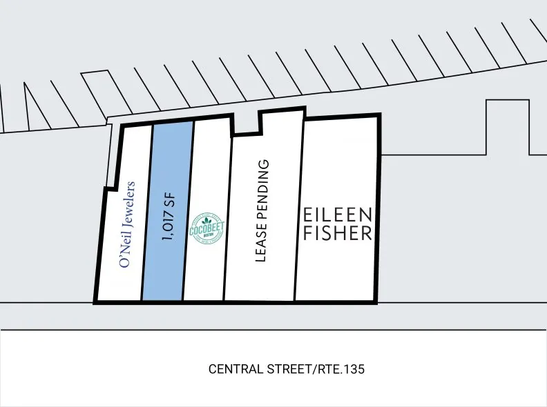 Site Plan for Central Block at 53-61 Central Street in Wellesley, MA