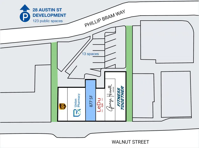 Site Plan for 309 Walnut Street in Newtonville, Newton, MA