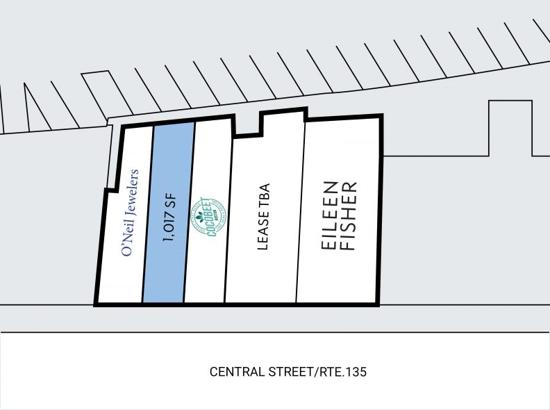 Site Plan for Central Block at 53-61 Central Street in Wellesley, MA
