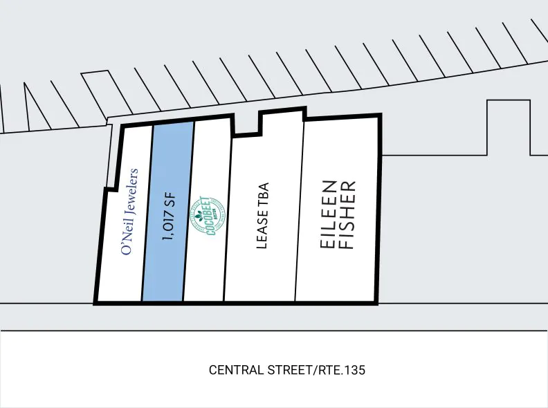 Site Plan for Central Block at 53-61 Central Street in Wellesley, MA