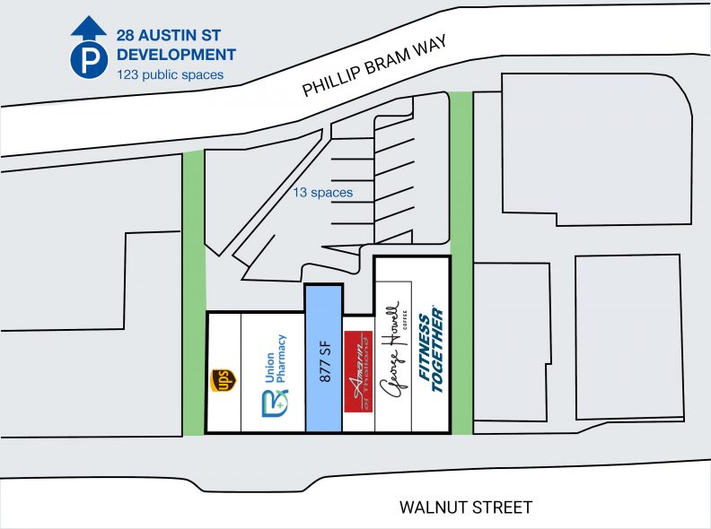 Site Plan for 309 Walnut Street in Newtonville, Newton, MA