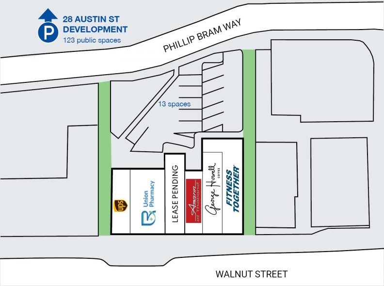 Site Plan for 309 Walnut Street in Newtonville, Newton, MA