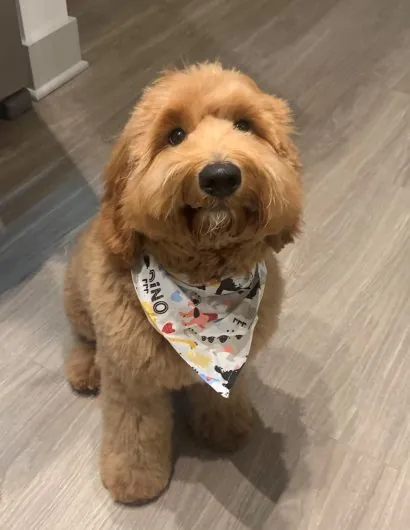 Adriana's dog Charlie