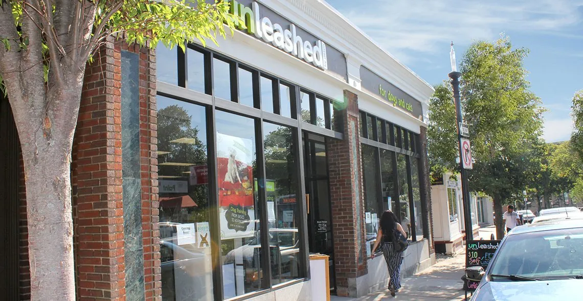 Photo of 745 South Street in West Roxbury
