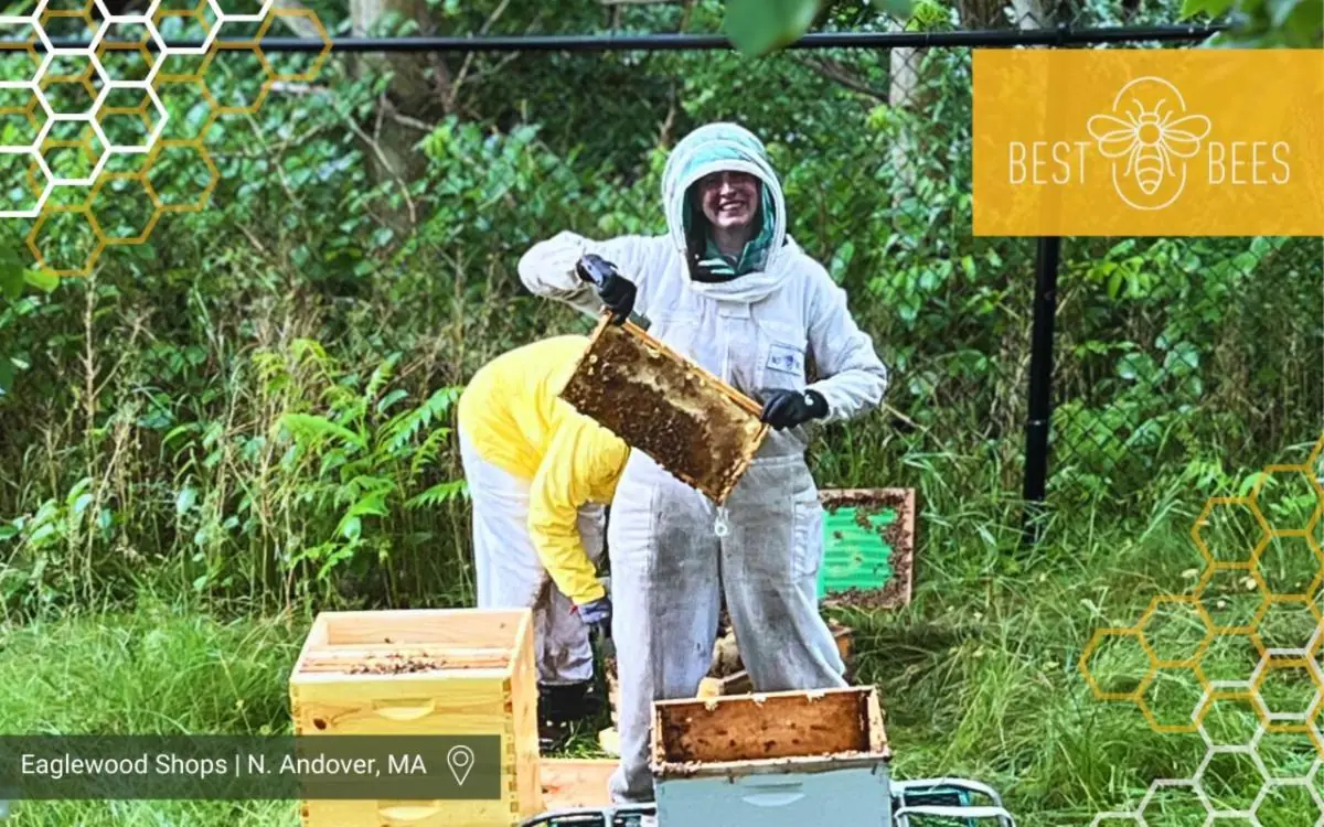 photo of beehive installation at Linear Retail's North Andover property
