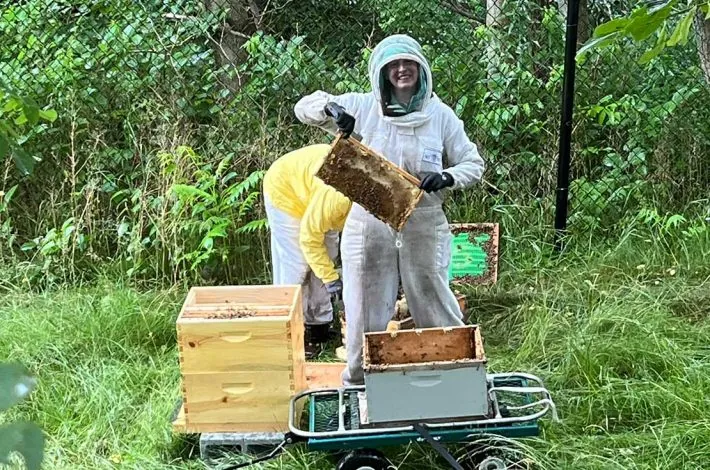 Person hold up a honey comb from beehive